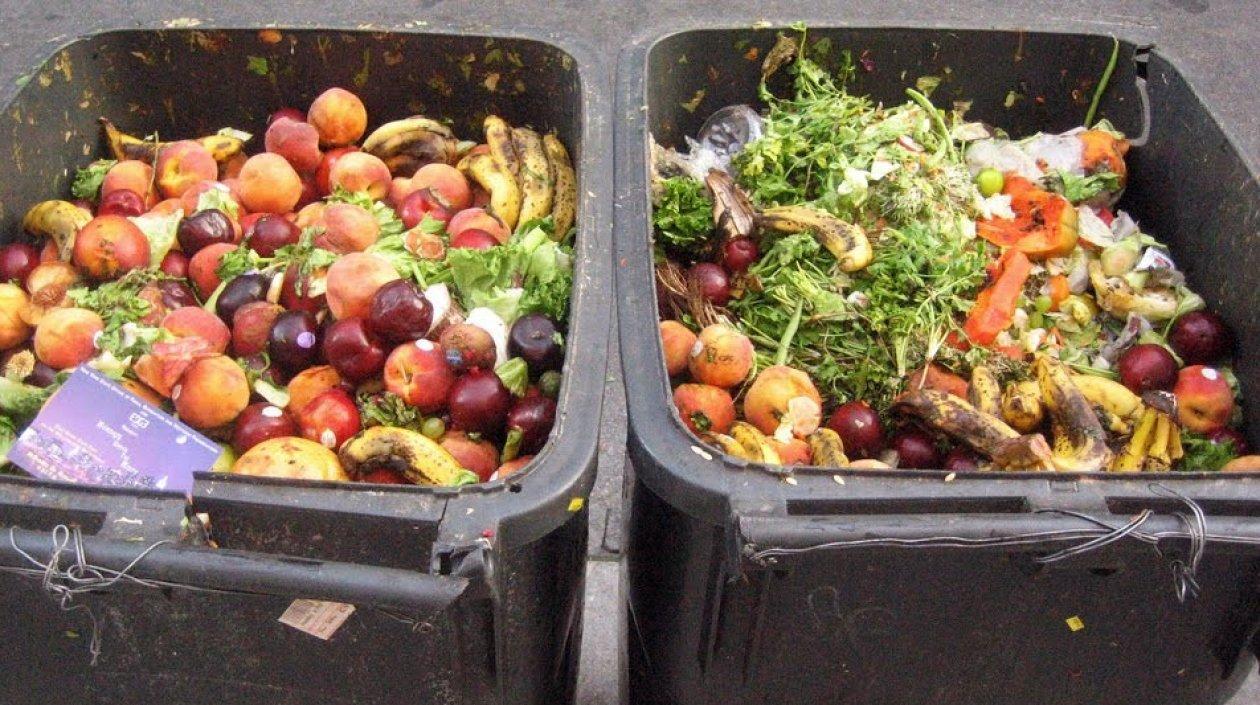 sancion al desperdicio de alimentos
