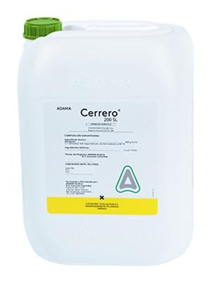 CERRERO X 20 LTS