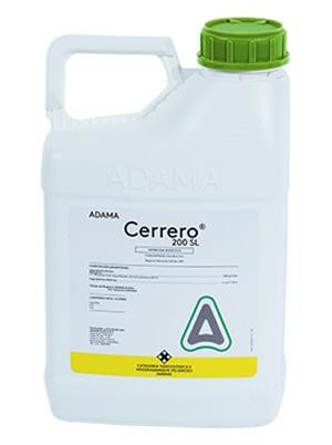 CERRERO X 4 LTS