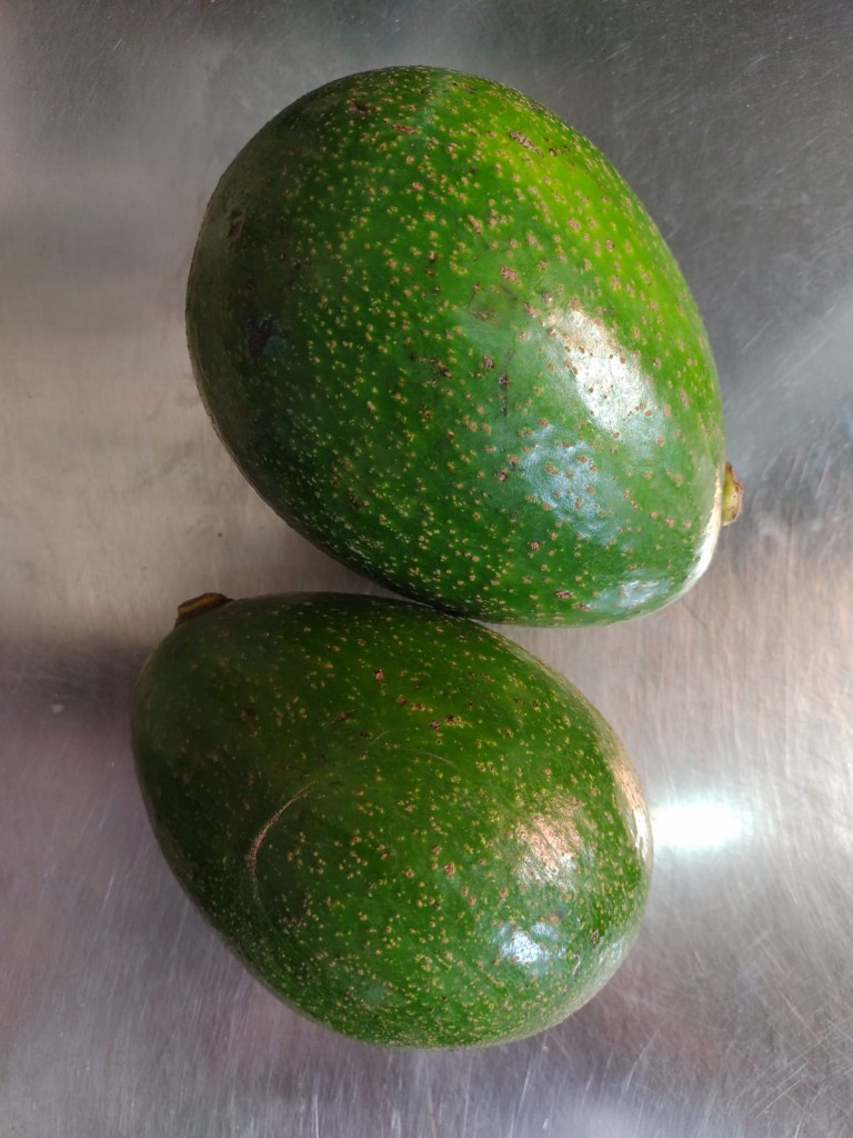 AGUACATE CHOQUETTE PRIMERA POR KILO
